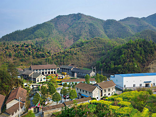 热烈祝贺德信平台-德信(中国)一站式服务平台正式上线！